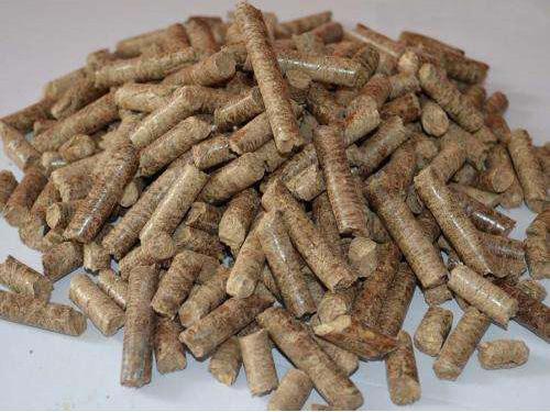 甘肅生物質(zhì)燃料